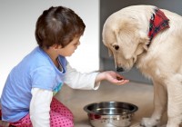shutterstock_72449815
