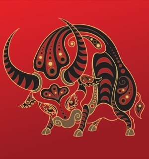 Resultado de imagem para horóscopo chines