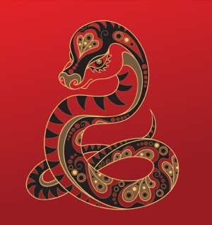 Resultado de imagem para horóscopo chines